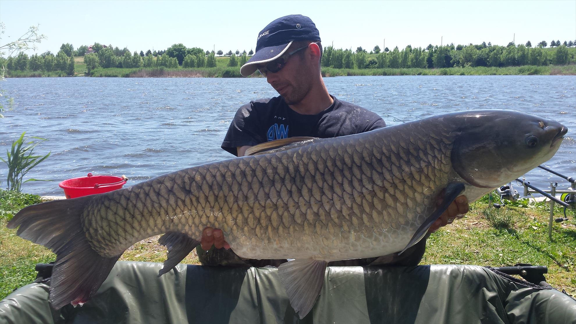 Tancabesti 5 - 6 iunie 2015 - 20150606123849.jpg